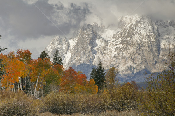 Snowy Mountain Vista Stock photo © emattil