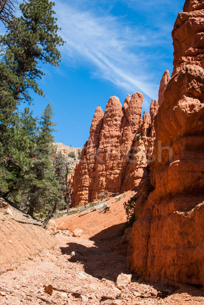 Rojo canón Utah arenisca rocas Foto stock © emattil