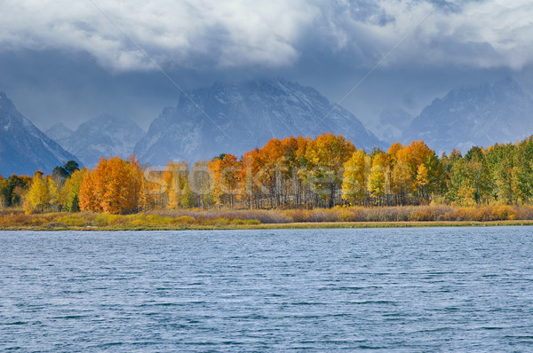 Tetons on a moody day Stock photo © emattil