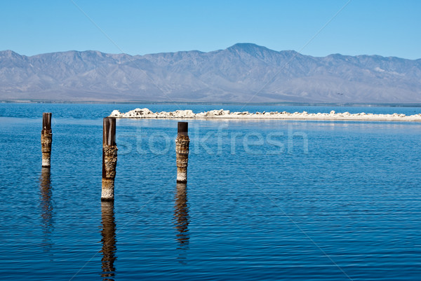 Posts in water at Salton Sea Stock photo © emattil