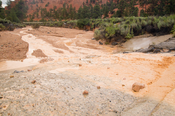 Muddy water from flash flood in Utah desert Stock photo © emattil