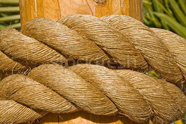 Dupla kötél kötelek fából készült posta tengerpart Stock fotó © emattil
