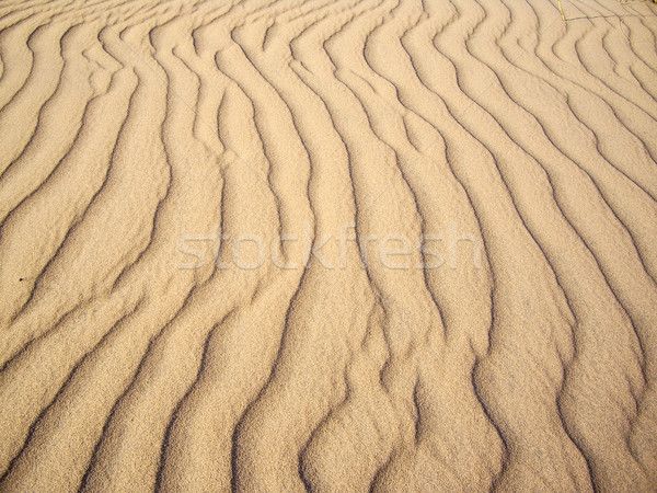 Arena desierto tierra patrón sombra barro Foto stock © emattil