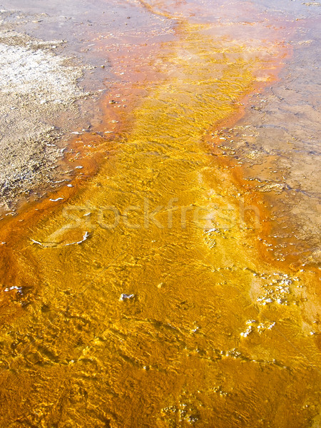 Arany medence park szín utazás folyó Stock fotó © emattil