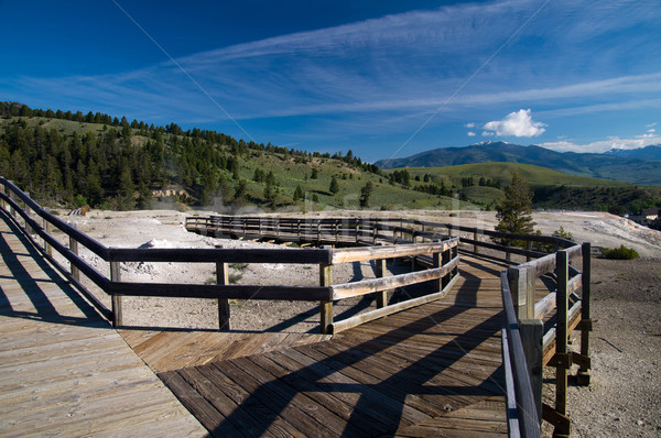 Mammoth Hot Springs Boardwalk Stock photo © emattil
