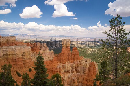 Grand view of Bryce Canyon National Park Stock photo © emattil