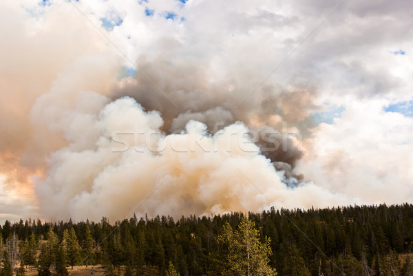 Nubes fuego soplar viento incendios forestales cielo Foto stock © emattil