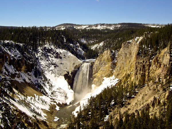 Rushing Yellowstone Falls Stock photo © emattil