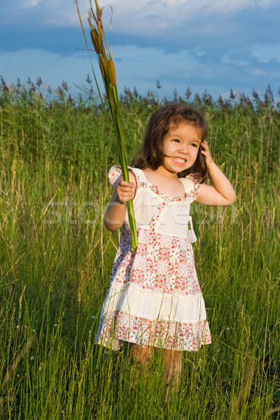 Girl holding reeds Stock photo © emese73