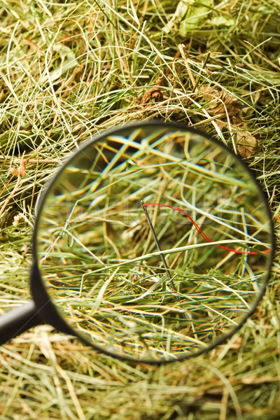 Meule de foin aiguille loupe lumière verre [[stock_photo]] © emese73