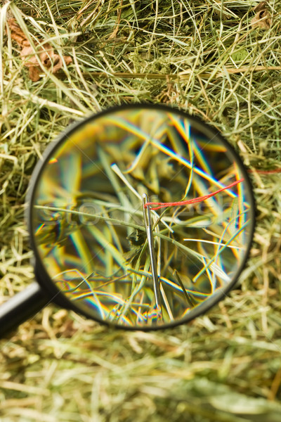 Stock foto: Heuhaufen · Erkenntnis · Nadel · Lupe · Licht · Glas