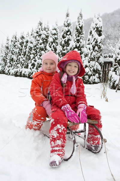 雪橇 快樂 小女孩 微笑 雪 商業照片 © emese73