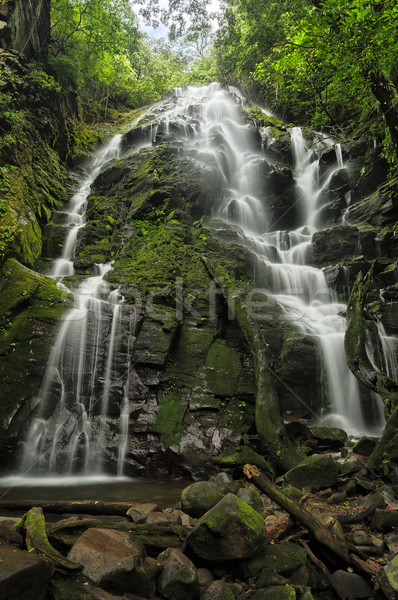 Wasserfall Costa Rica Wald Dschungel Stream Stock foto © emiddelkoop