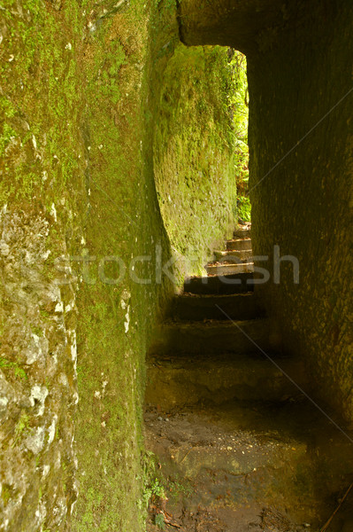 Cueva norte isla Nueva Zelandia verde escaleras Foto stock © emiddelkoop