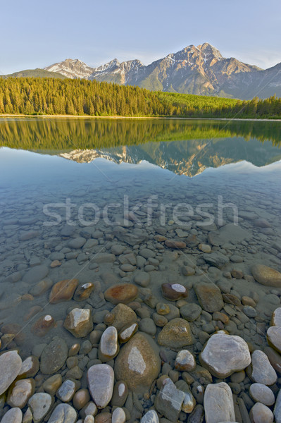 Lago hermosa amanecer parque Foto stock © emiddelkoop