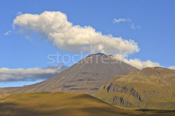 Park New Zealand Wald Berg Vulkan Kegel Stock foto © emiddelkoop