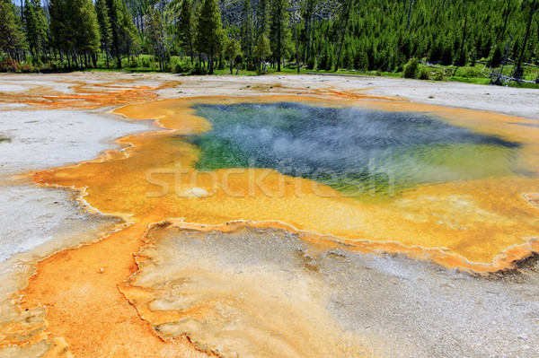 Emerald Pool, Yellowstone National Park Stock photo © emiddelkoop