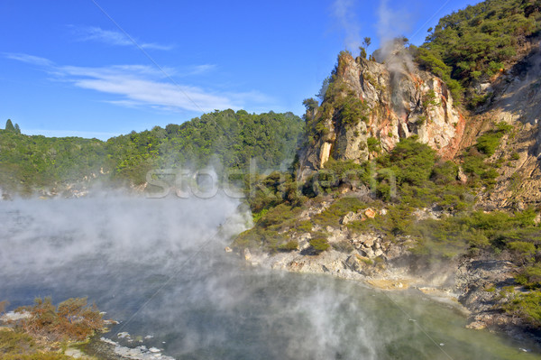 Kathedrale Felsen Vulkangestein See New Zealand Stock foto © emiddelkoop