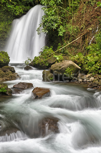 Cascada Costa Rica corriente gotas Foto stock © emiddelkoop