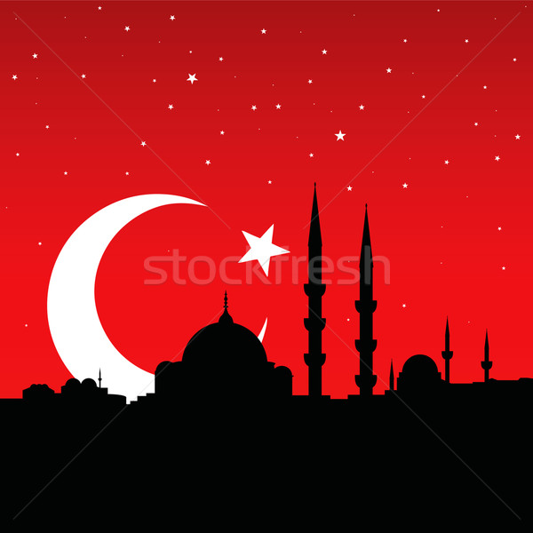 Istanbul stadsgezicht geïsoleerd turks vlag achtergrond Stockfoto © emirsimsek