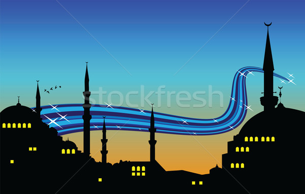 Moskee gebouw Blauw vogels architectuur asian Stockfoto © emirsimsek