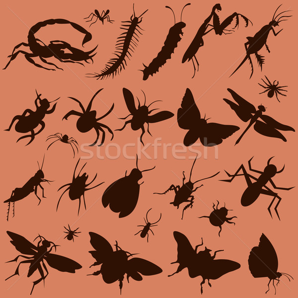 Insecten vector ingesteld silhouet spin Stockfoto © emirsimsek