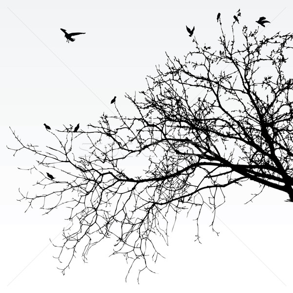 Wektora sylwetka drzewo niebo trawy Zdjęcia stock © emirsimsek