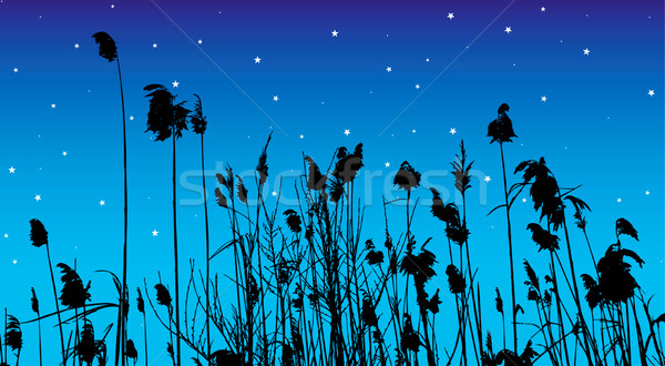 Vector silhouet blad achtergrond schoonheid meer Stockfoto © emirsimsek