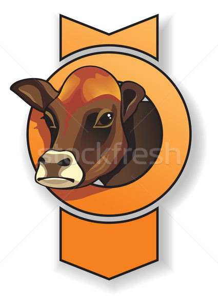 Foto stock: Vaca · vacas · cabeça · quadro · forma · arco