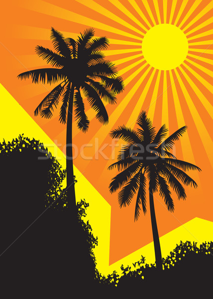 Sunlit palm trees  Stock photo © ensiferrum