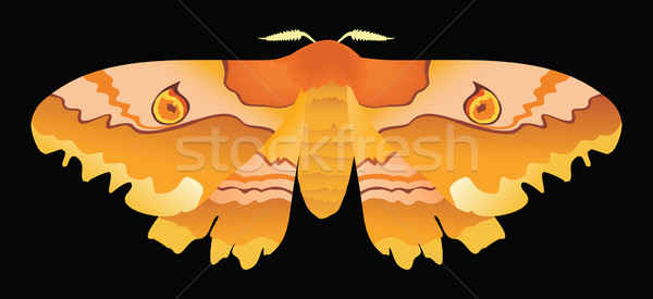 Moth Stock photo © ensiferrum