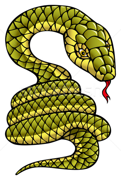Snake Stock photo © ensiferrum