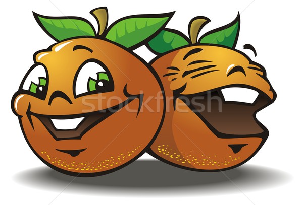 два веселый апельсинов смеясь Cartoon фотография Сток-фото © ensiferrum