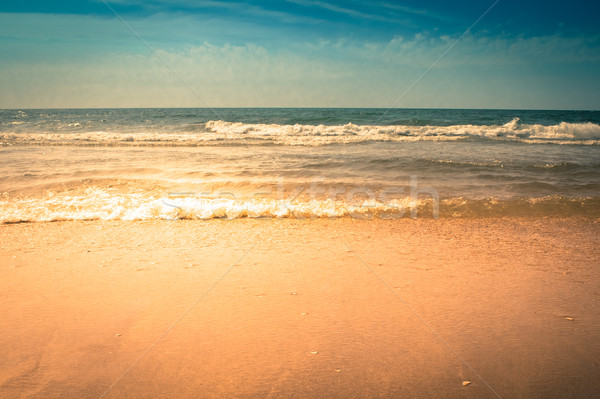 Wellen Strand South Carolina Himmel Sand Stock foto © enterlinedesign