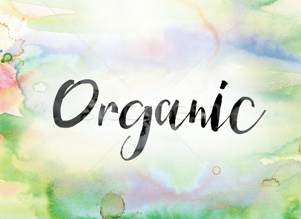 Organic Colorful Watercolor and Ink Word Art Stock photo © enterlinedesign