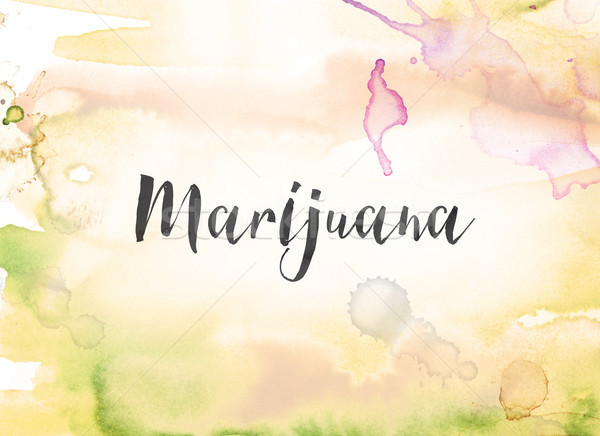 Marihuana Wasserfarbe Tinte Malerei Wort geschrieben Stock foto © enterlinedesign