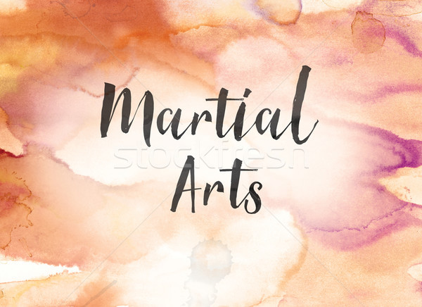 Marial Arts Concept Watercolor and Ink Painting Stock photo © enterlinedesign