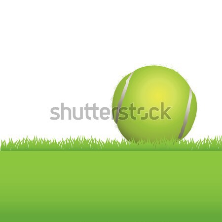 Palla da tennis erba illustrazione seduta stanza copiare Foto d'archivio © enterlinedesign