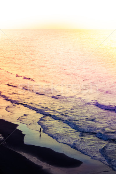Beach Shoreline at Sunrise Stock photo © enterlinedesign
