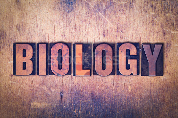 Biologie Buchdruck Wort Holz geschrieben Jahrgang Stock foto © enterlinedesign