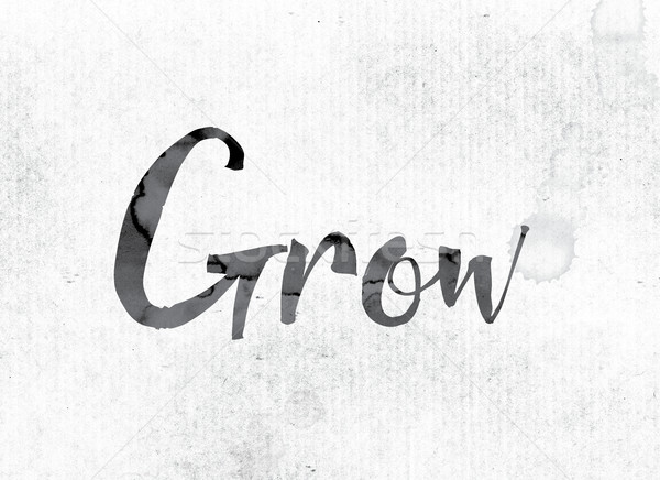 Grow Concept Painted in Ink Stock photo © enterlinedesign