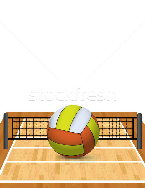 Stockfoto: Volleybal · rechter · illustratie · realistisch · exemplaar · ruimte · vector