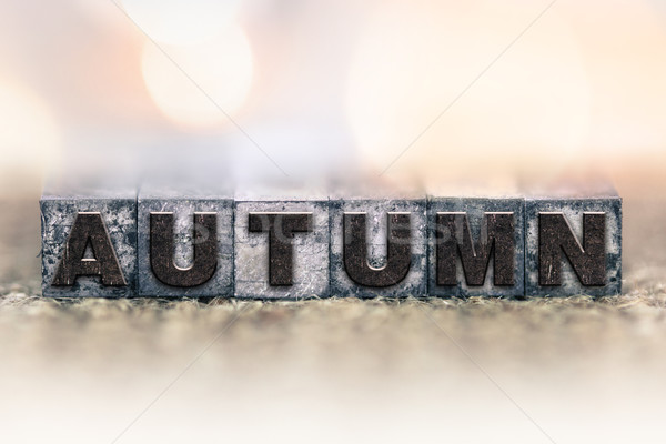 Autumn Concept Vintage Letterpress Type Stock photo © enterlinedesign