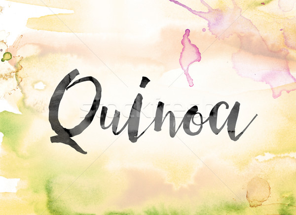 Quinoa Colorful Watercolor and Ink Word Art Stock photo © enterlinedesign