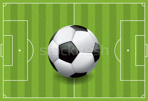 реалистичный футбола футбольным мячом области трава Сток-фото © enterlinedesign