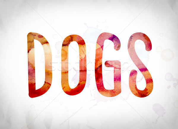 Dogs Concept Watercolor Word Art Stock photo © enterlinedesign