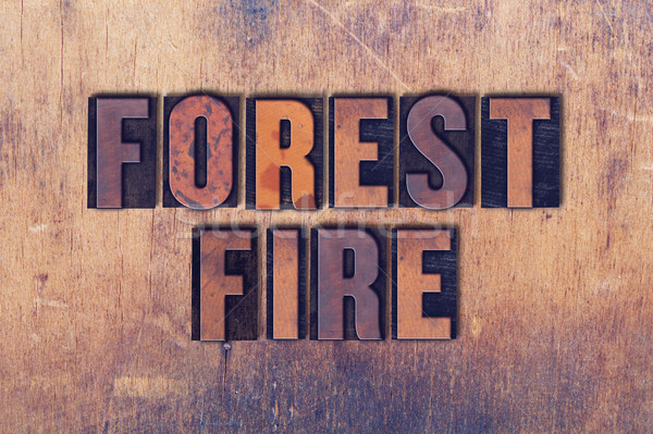Incendios forestales palabra madera palabras escrito Foto stock © enterlinedesign