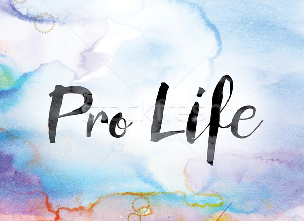 Pro Life Colorful Watercolor and Ink Word Art Stock photo © enterlinedesign