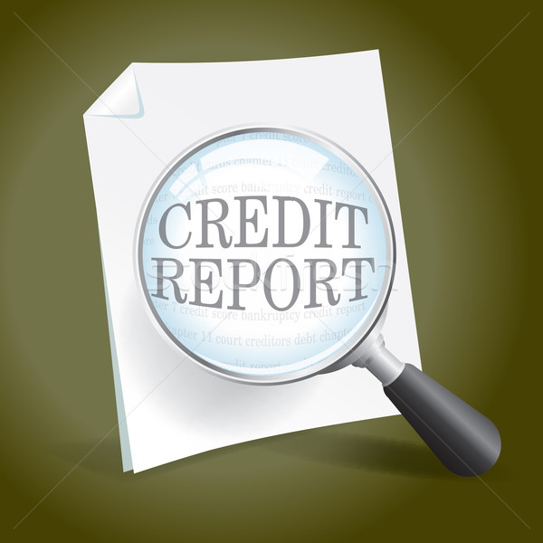 Megvizsgál kredit jelentés elvesz néz Stock fotó © enterlinedesign