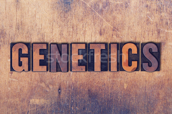 Genetics Theme Letterpress Word on Wood Background Stock photo © enterlinedesign